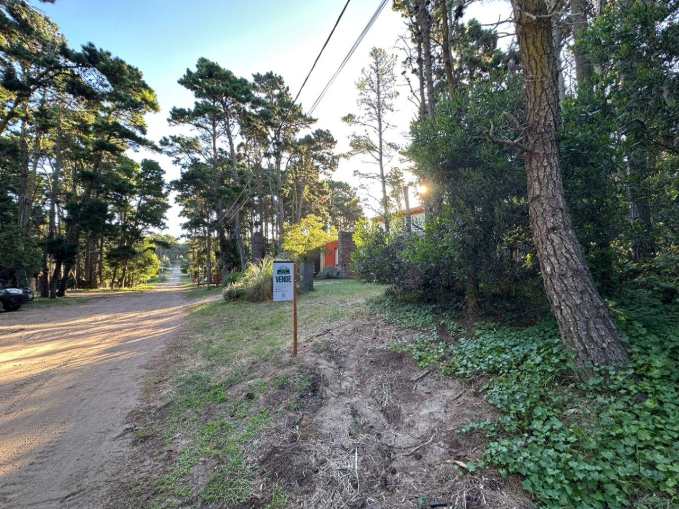 Calle Pinamar entre 40 y 41