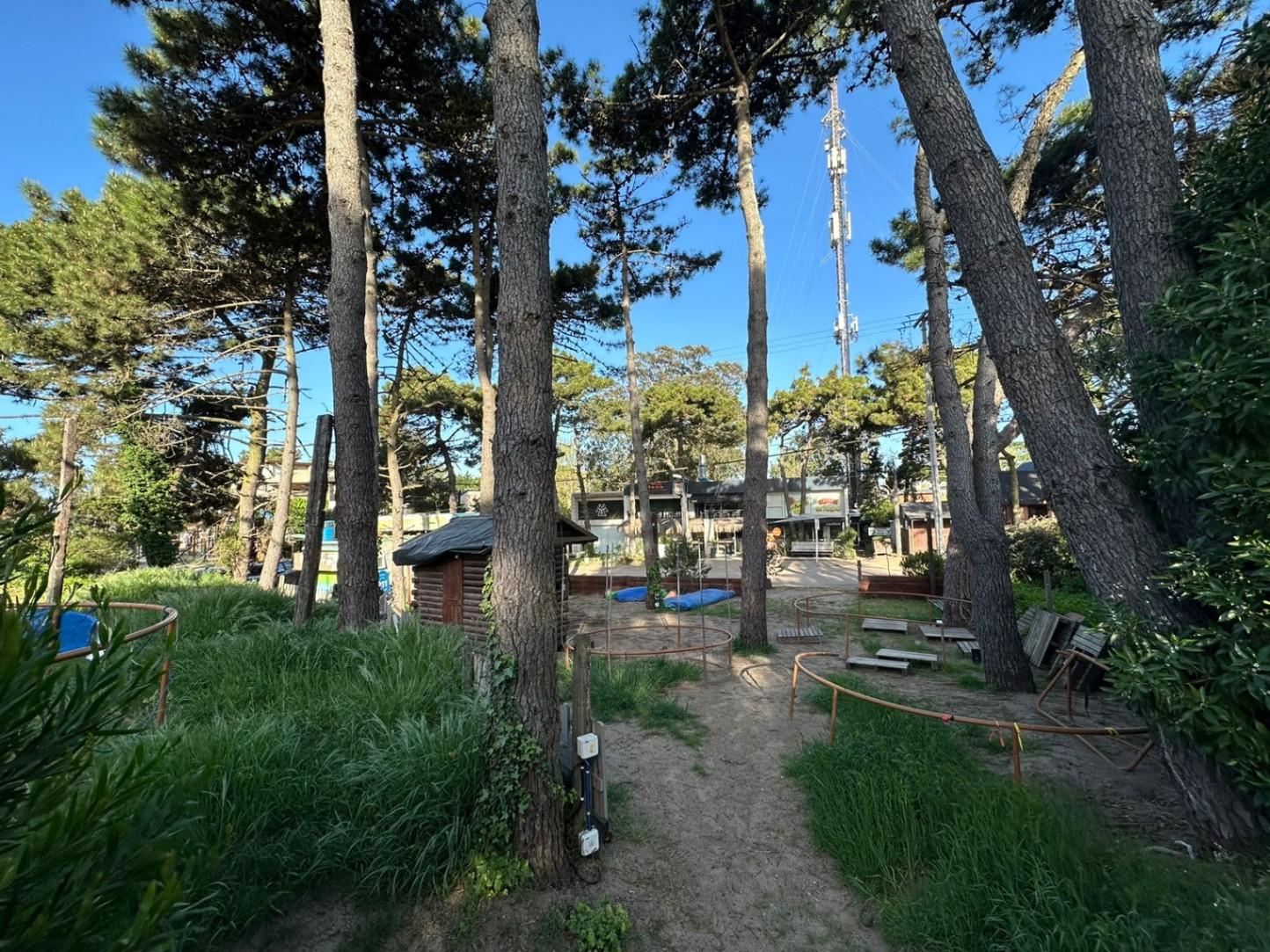 Calle Mar del Plata entre 33 y 34