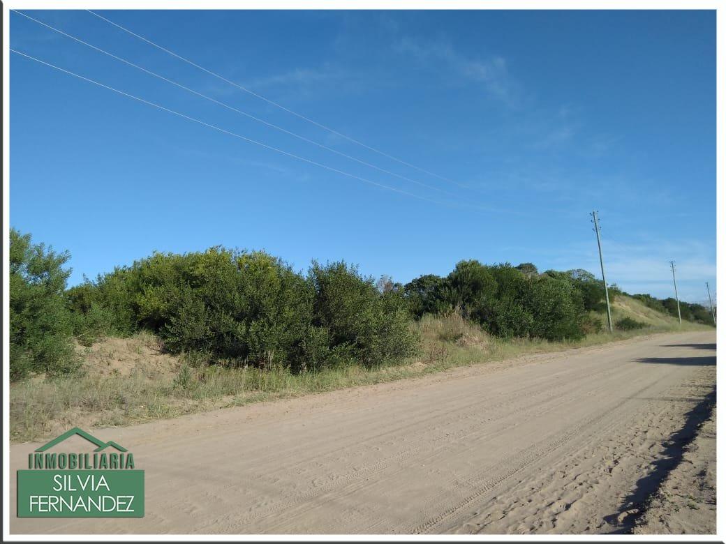 Circunvalación entre Paseos 137 y 138
