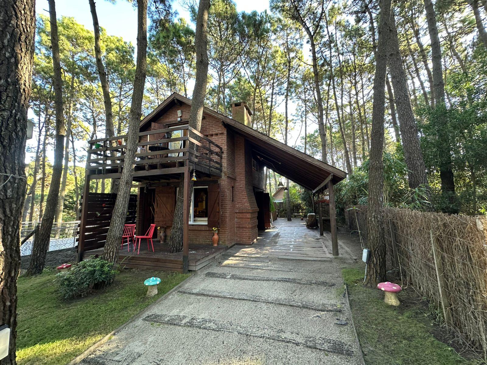 Calle Punta del Este entre 42 y 43