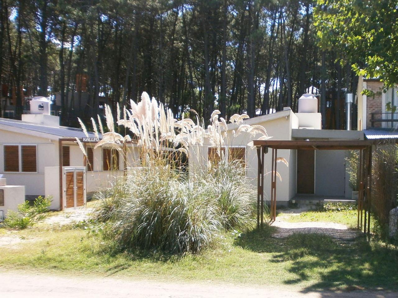 Calle 44 entre Punta del Este y Calle 1