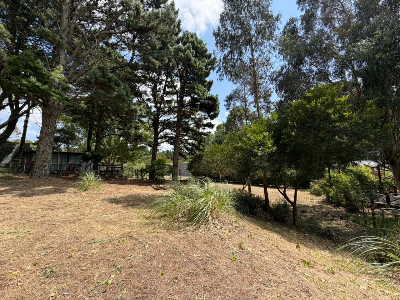 El Palmar casi Avda. del Plata