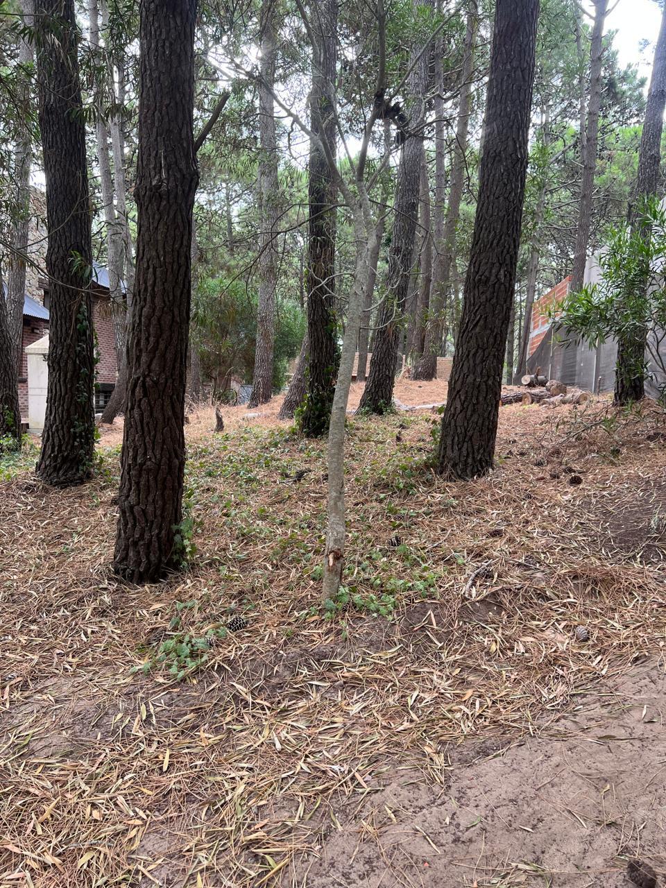 Punta Del Este entre calles 41 Y 42