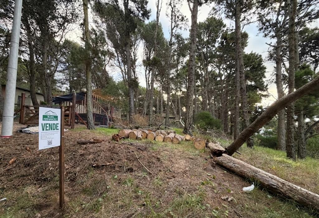 Pinamar entre 42 y 43