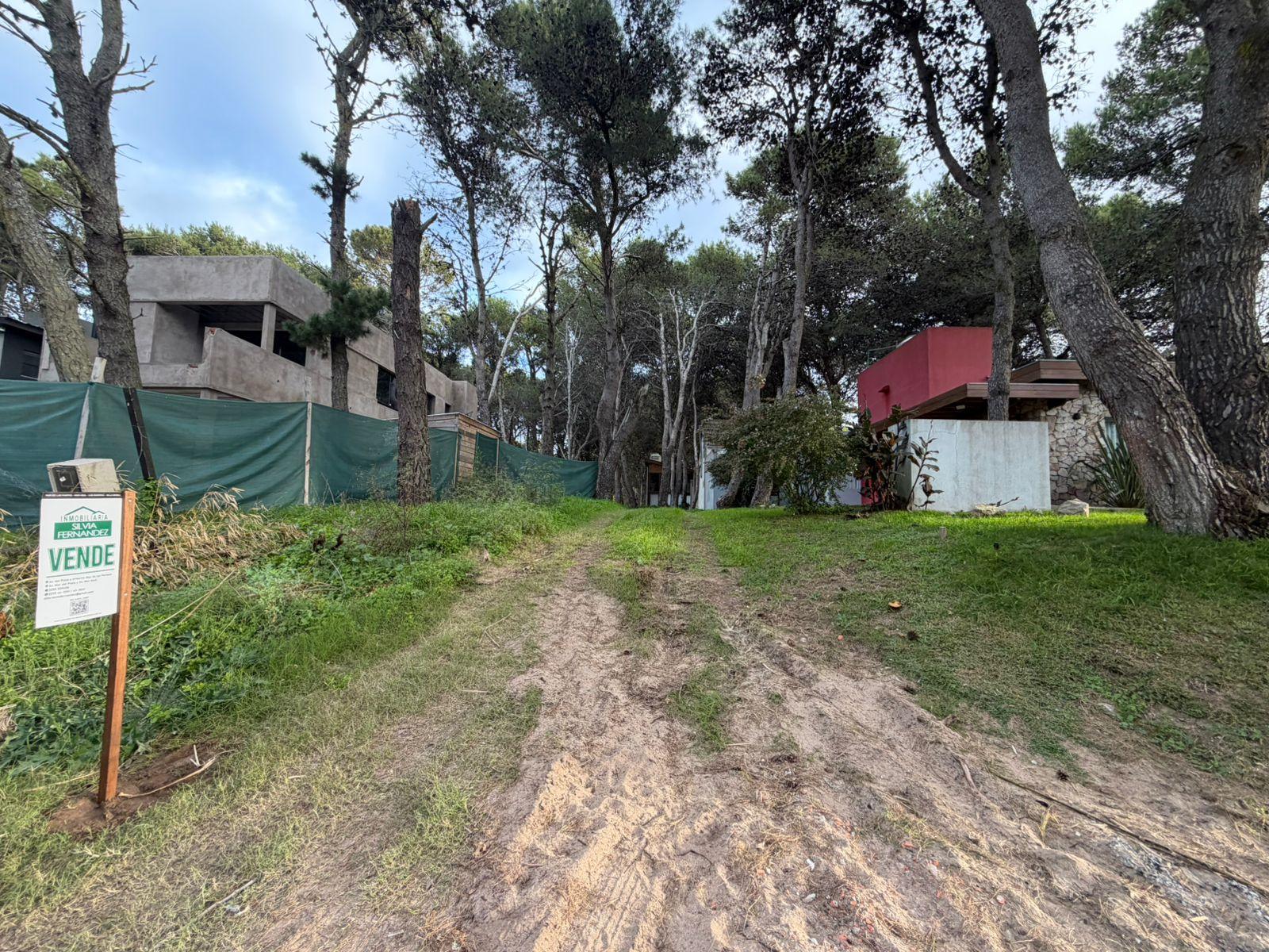 Calle 42 entre Viña del Mar y Punta del Indio