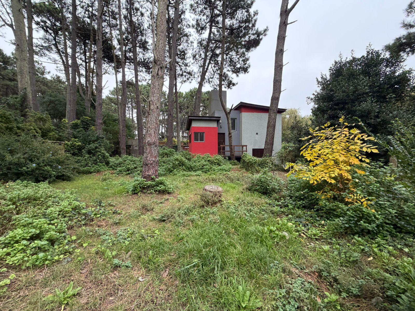 Lote Comercial -  Punta del Este entre 36 y 37