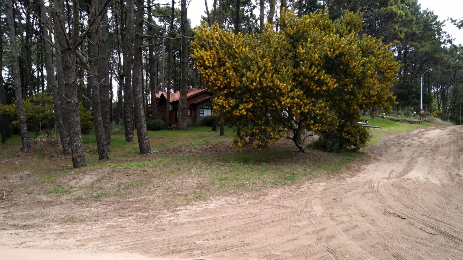Las Acacias y Pueyrredon